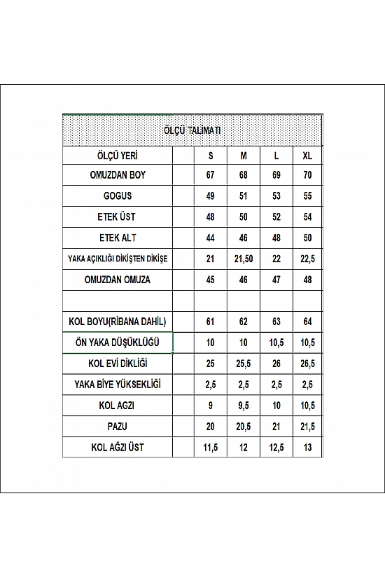 19157 K. ATATÜRK  BASKILI BİSİKLET YAKA 2 İP ERKEK SWETSHİRT 
